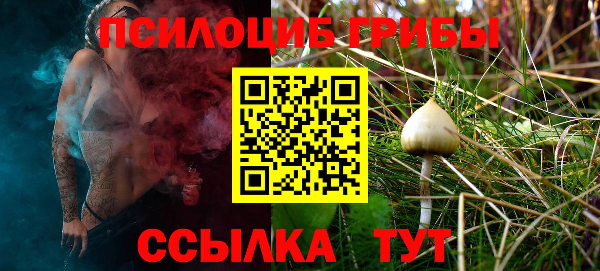 Галлюциногенные грибы Psilocybine cubensis Богородск