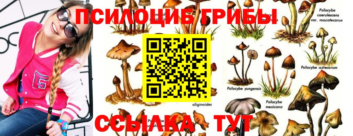 Галлюциногенные грибы GOLDEN TEACHER  Вход с VPN  Псилоцибиновые грибы Psilocybe  Богородск 